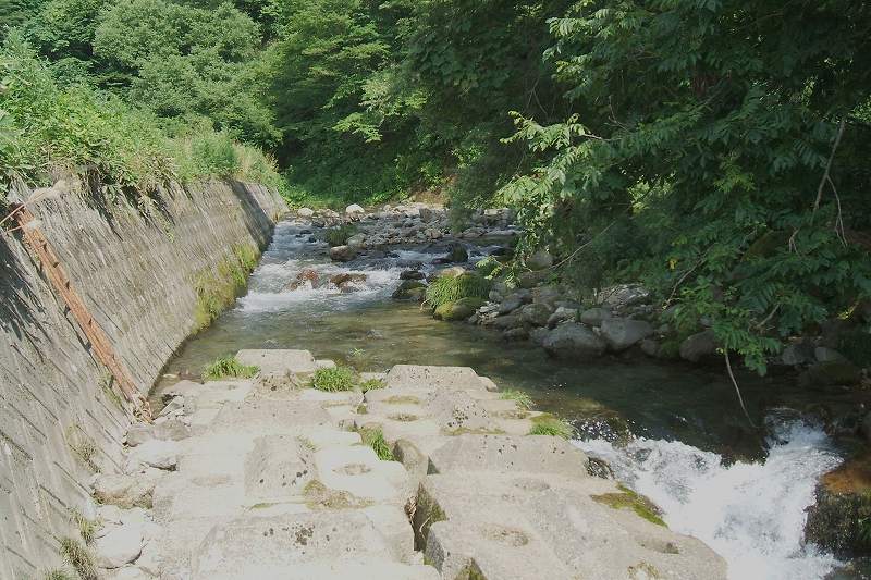 kokura_04_14.jpg