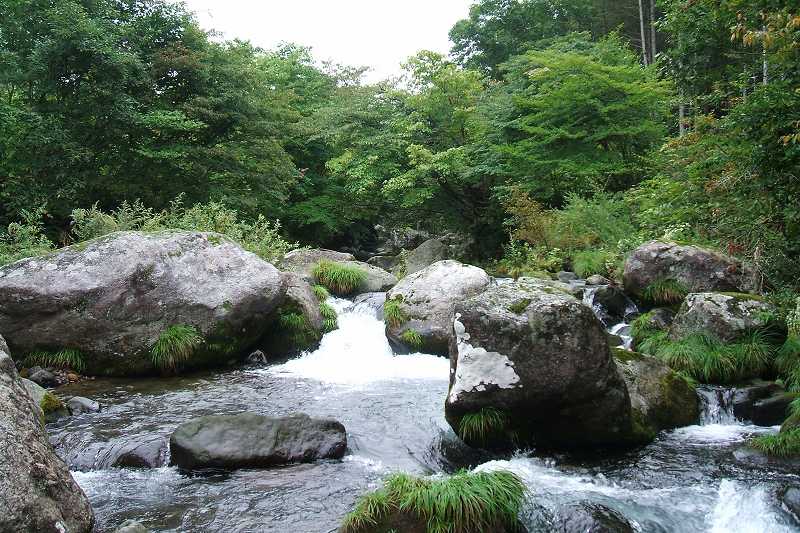 takamori_3_04.jpg