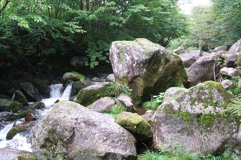 takamori_3_06.jpg