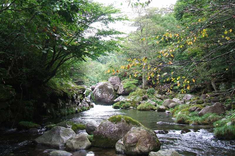 takamori_3_07.jpg