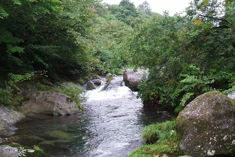 takamori_3_08.jpg
