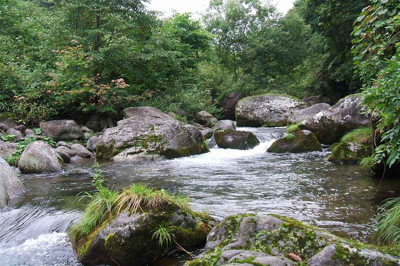 takamori_3_09.jpg