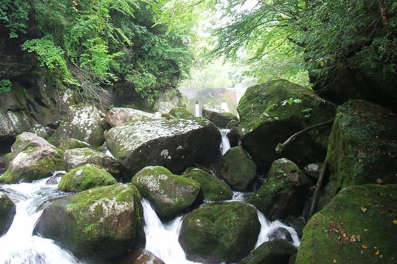 takamori_3_29.jpg