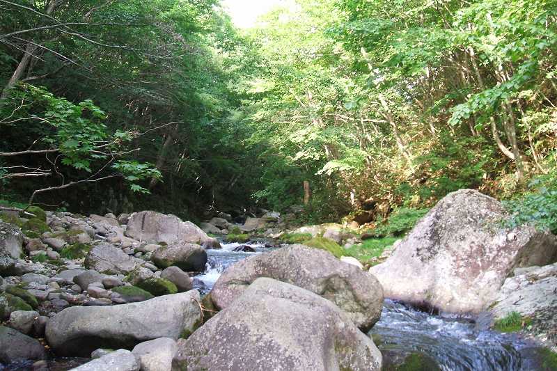 takamori_4_11.jpg